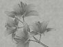 Artikelansicht Fototapete Vlies Blumen Kunst Striche grau 38278-1 2