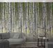 Picture Photo Wallpaper Birches Forest Trees white grey 47220 1