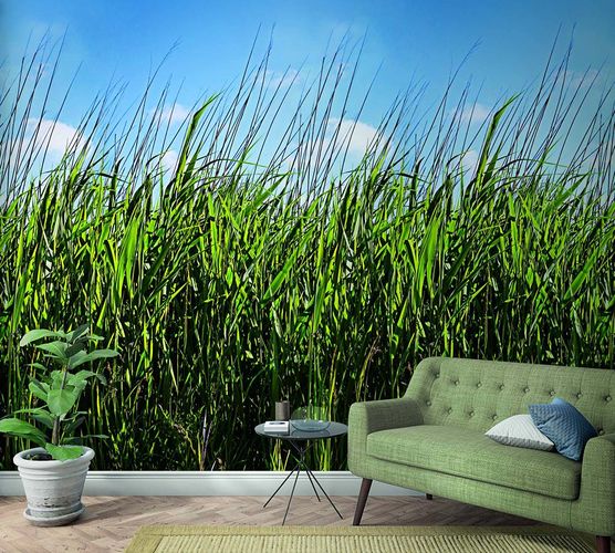 Picture Photo Wallpaper Meadow Grass Floral green blue 47272