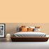 Dimensa WohnColor wall paint ceiling paint coloured 2.5L 52