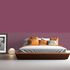 Dimensa WohnColor wall paint ceiling paint coloured 2.5L 45