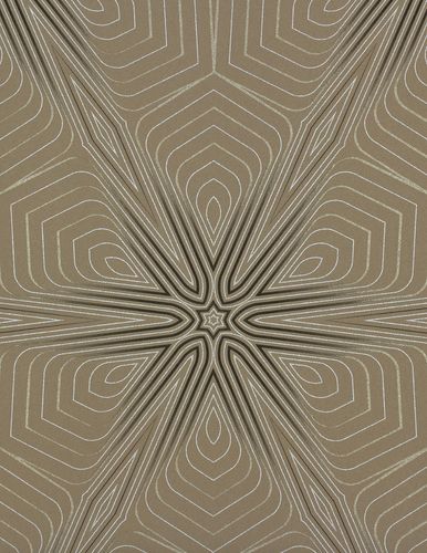 Picture Non-Woven Wallpaper 3D Graphic Star brown black 55014