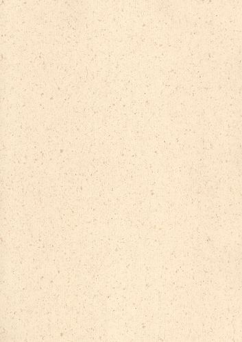 Children's wallpaper plain beige Villa Coppenrath Rasch 296303