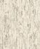 Non-Woven Wallpaper Rasch Birch Tree beige grey 554052 1