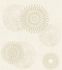 Non-woven wallpaper Rasch gold beige concrete look circles 2