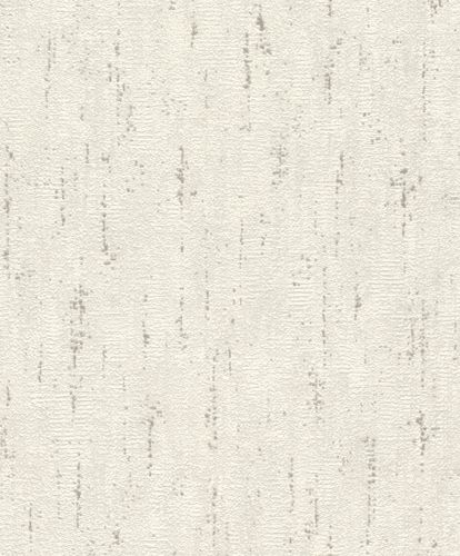 Non-woven wallpaper Rasch silver white concrete look 506921