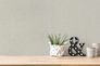 Wallpapers sample article 38613-2 2