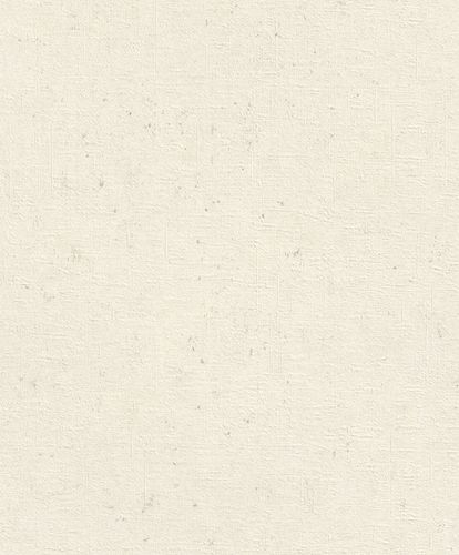 Non-woven wallpaper plaster optics concrete cream white Rasch