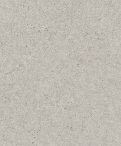 Non-woven wallpaper plaster optics concrete greige Rasch