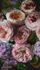 Grandeco Vlies Fototapete A52101 Blumen Rosa Lila 1