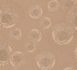 Versace non-woven wallpaper 38461-2 Medusa Rosegold 1