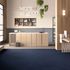 Matrix carpet tile Commercial carpet 50 x 50 cm 9