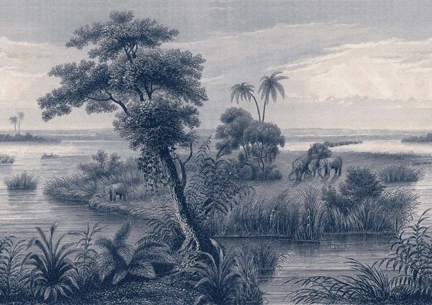 Wall mural 556117 Rasch Blue Beige Savannah Palm Tree