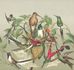 Mural 543520 Rasch Green Brown Birds Exotic 2