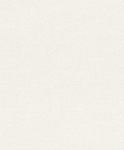 Wallpapers sample article 312102