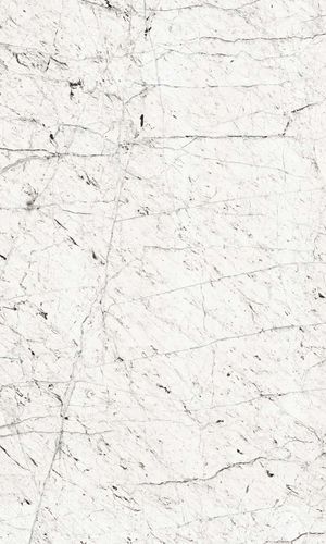 Rasch photo wallpaper 364347 marble stone white black