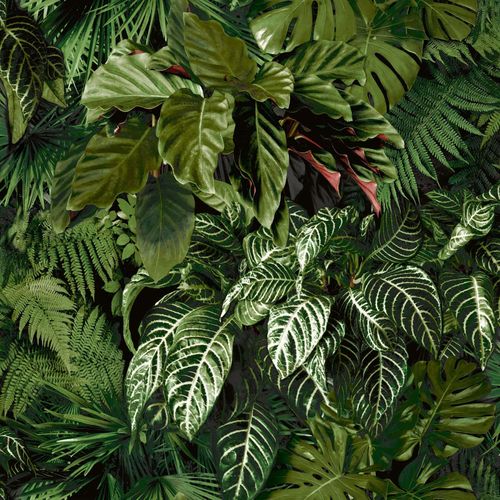 Tapeten Musterartikel A58601