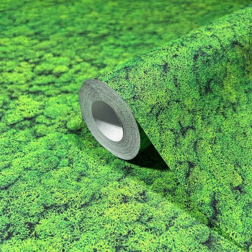 Tapeten Musterartikel 34862