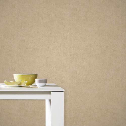 Vliestapete Beton Optik Used-Look Beige Creme 10418-32 Raum