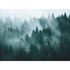 Photo Wallpaper Forest Landscape Fog Green Blue 39898-1 2