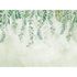 Photo wallpaper watercolor leaves tendrils green 39907-1 2