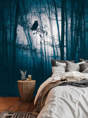 Photo Wallpaper Forest Trees Owl Blue Black 39909-1