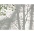 Photo Wallpaper Trees Shadow Leaves White Green 39925-1 2