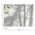 Photo Wallpaper Trees Shadow Leaves White Green 39925-1 3