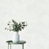 Non-woven wallpaper plaster look plain white cream 82470 1