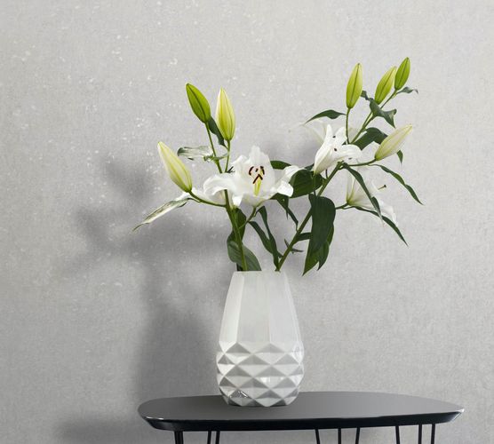 Non-woven wallpaper plaster look white grey 35161
