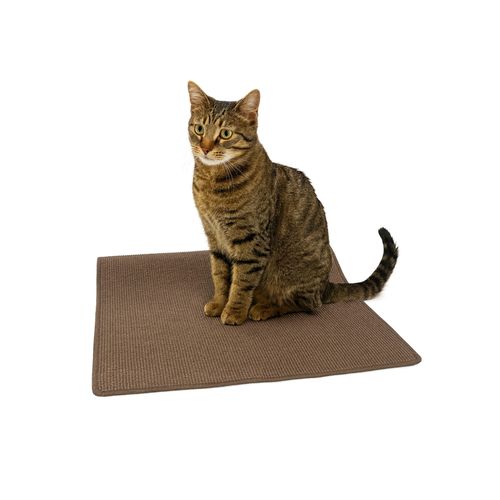 Sisal Katzenteppich Kratzteppich Sisalteppich Kratzmatte