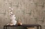 Vliestapete Betonoptik Shabby Beige Metallic 79085-4 Raum 4