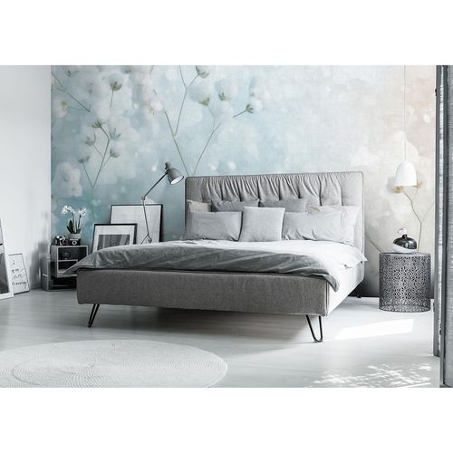 Guido Maria Kretschmer Fototapete Blumen Blau Creme Zimmer