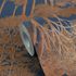 Non-woven wallpaper Jungle Blue Bronze Metallic 79162-4 4
