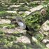 Non-woven wallpaper stone look brick moss green beige 45732 2