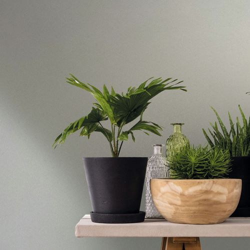 Vliestapete Uni Struktur Putzoptik Grau Creme 82514 Raum