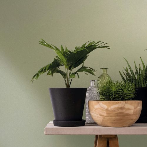 Non-woven Wallpaper plain Textured Plaster Look Green 82520