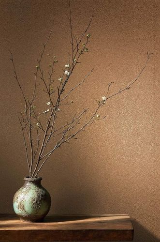 Wallpaper Papis Loveday Plain texture Bronze Metallic 35826