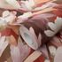 Non-woven Wallpaper Abstract Floral Red Pink Brown 10586-06 3