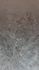 Photo Wallpaper Leaves Gradient Brown Grey 22101-07-01 3