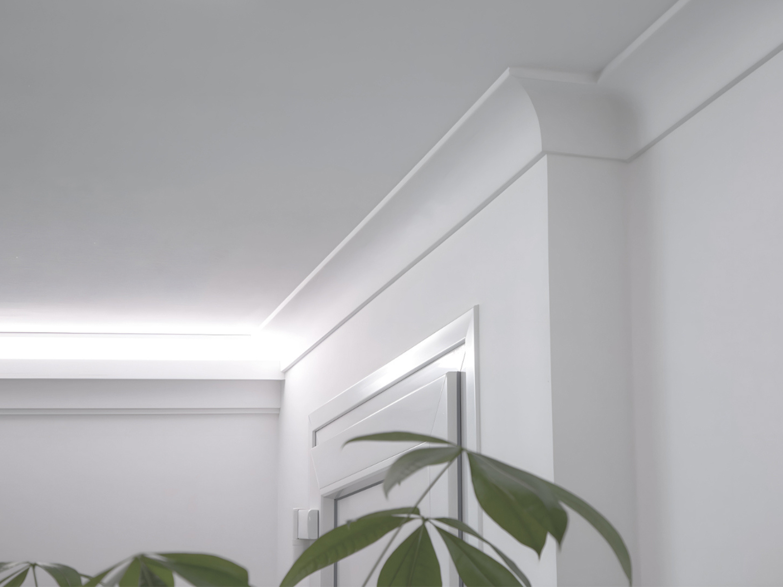 Deckenleisten in hellem Wohnraum