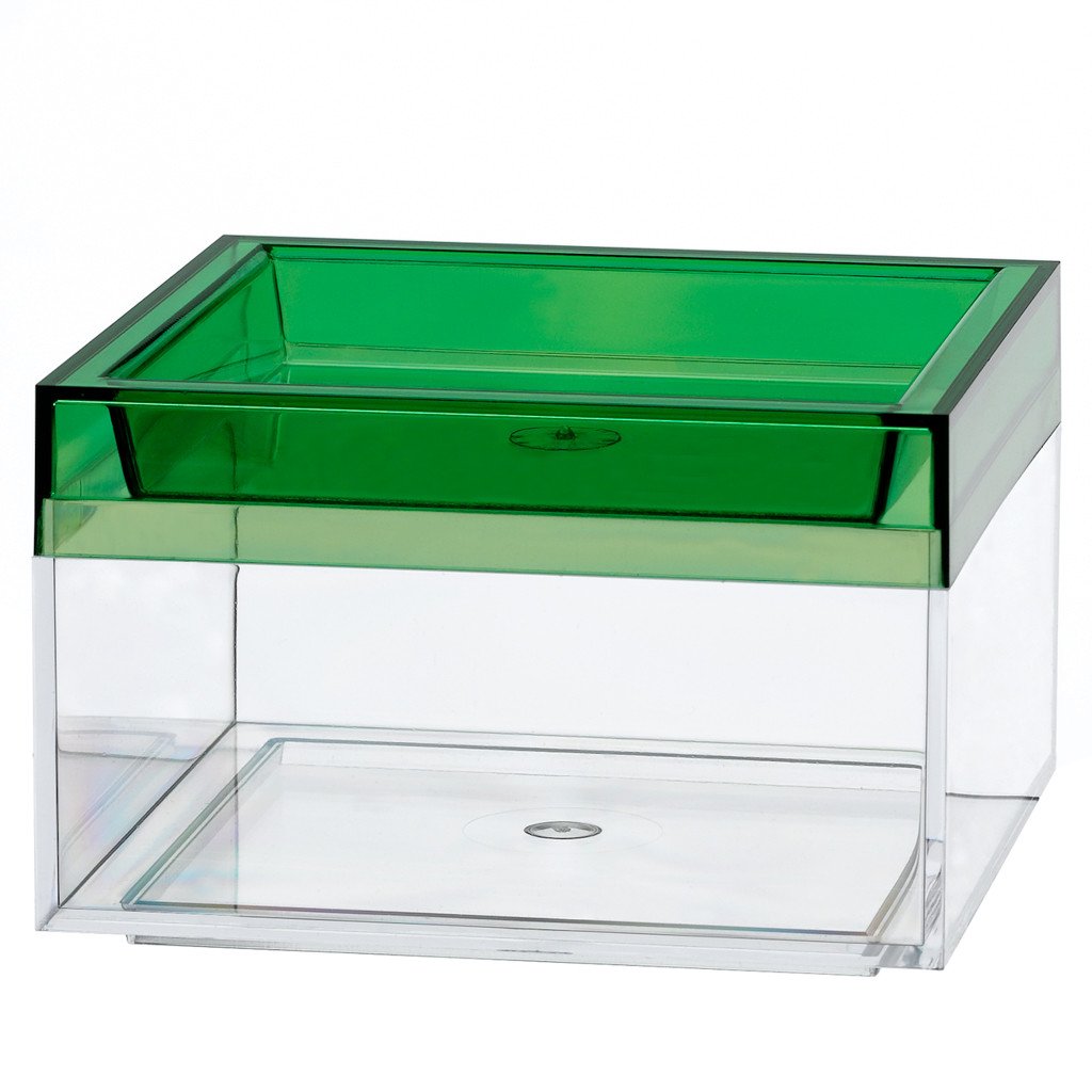 VarioColors ModernArt Aufbewahrungsbox C1 glasklar/grasgrün