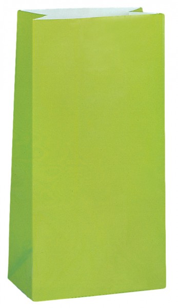 12 Papiertüten Grün