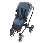 Safari Jeans Frottee / Anthra