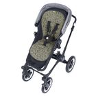 Safari Olive Frottee / Gold