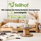 Fellhof-7.png