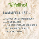 Fellhof-8.png