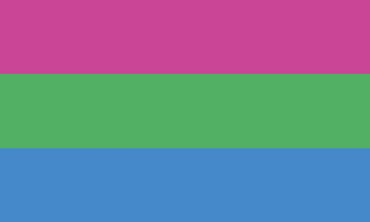 Polysexual Pride Flagge – 90×150 cm Stofffahne mit Ösen für CSD & Festival
