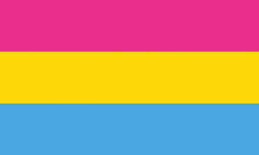 Pansexual Pride Flagge – 90×150 cm Stofffahne mit Ösen für CSD & Festival