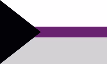 Demisexual Pride Flagge – 90×150 cm Stofffahne mit Ösen für CSD & Festival